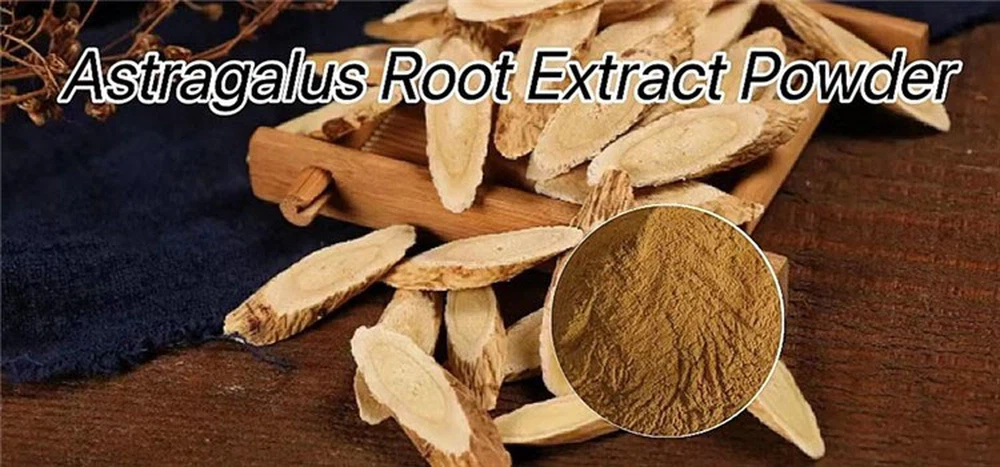 Astragalus Membranaceus Extract.png